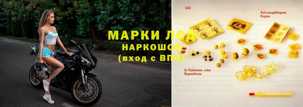 гидра Магас