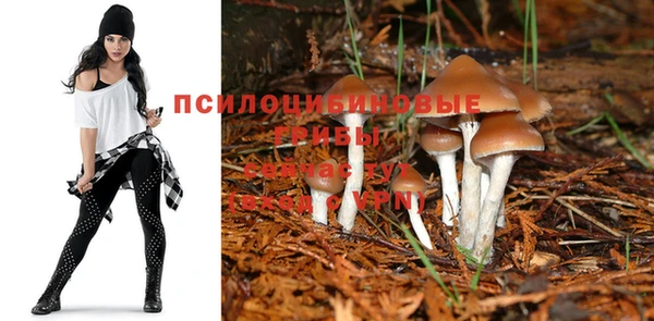 хмурый Мегион