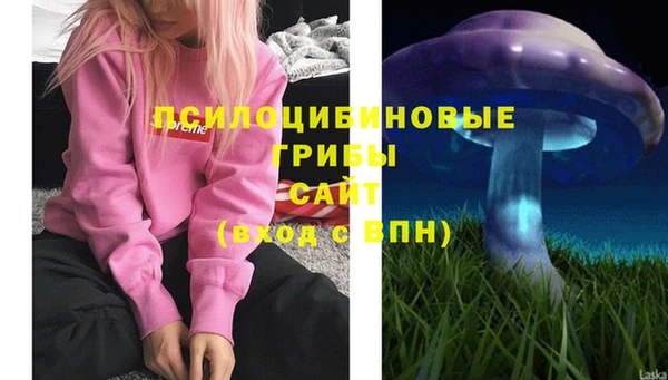 хмурый Мегион