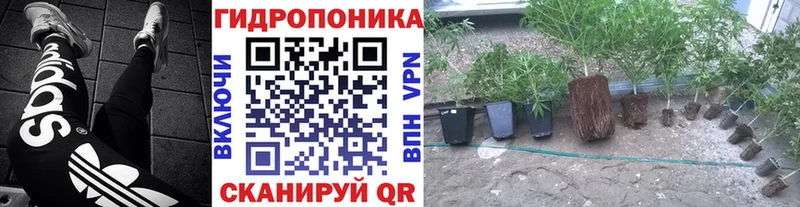 продажа наркотиков  Курлово  Конопля индика 